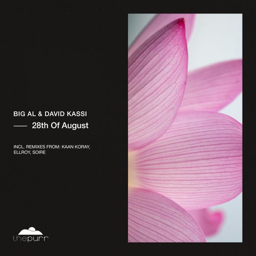 28th of August