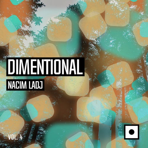 Cover art for Dimentional, Vol. 4