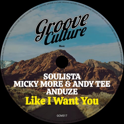 Like I Want You