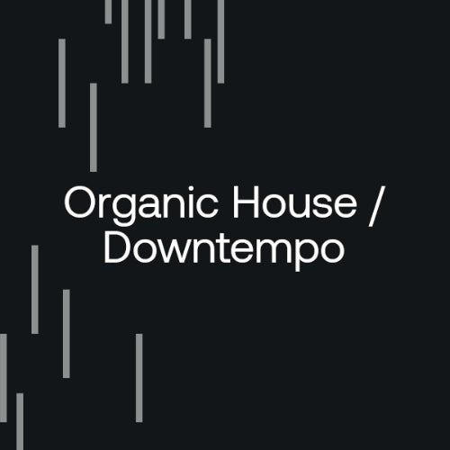 After Hours Essentials 2024: Organic H/D