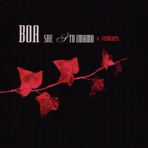 Sve Što Imamo (EP Remixes)