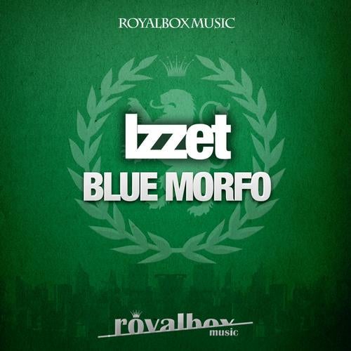 Blue Morfo