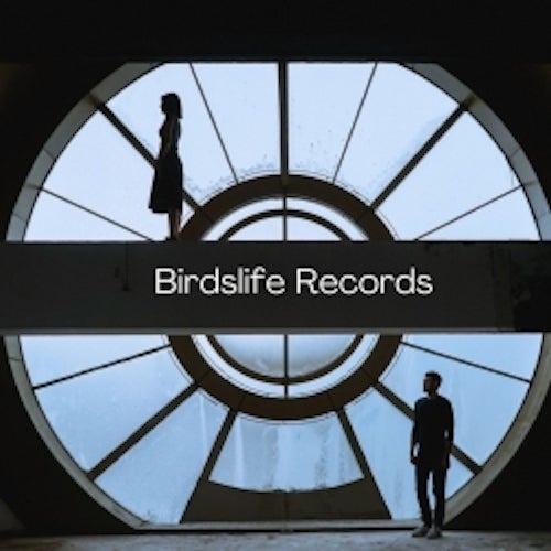 Birdslife Records
