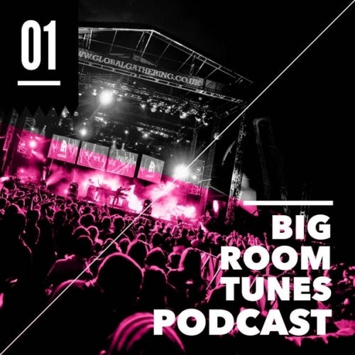 DJ Tim Passion Big Room Tunes Vol.1 Chart