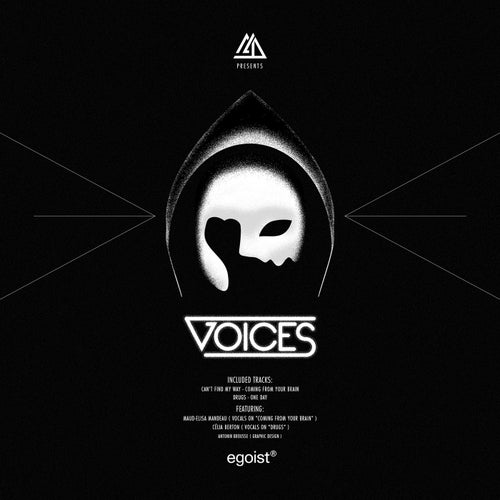 Cover art for Voices