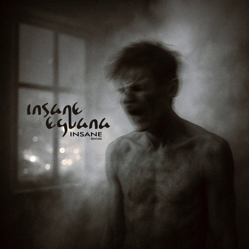 Insane (Rework)