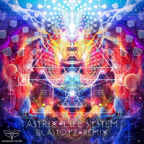 Cover art for Life System (Blastoyz Remix)