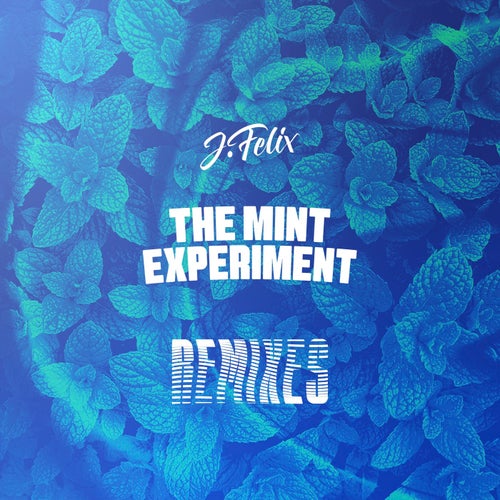 THE MiNT EXPERiMENT Remixes