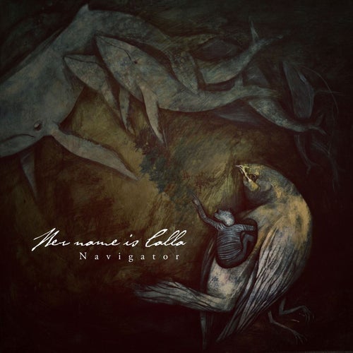 Cover art for Navigator - Bonus Track Version