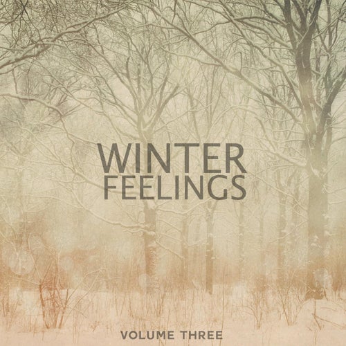 Winter Feelings, Vol. 3 (Finest In Calm & Heartwarming Chill Out Tunes)