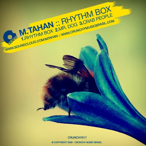 Rhythm Box