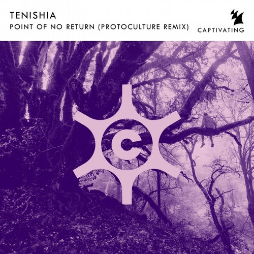 Point Of No Return - Protoculture Remix