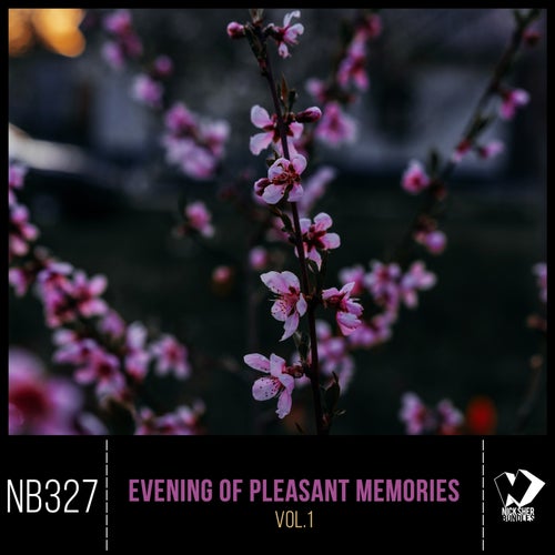 Evening of Pleasant Memories, Vol. 1