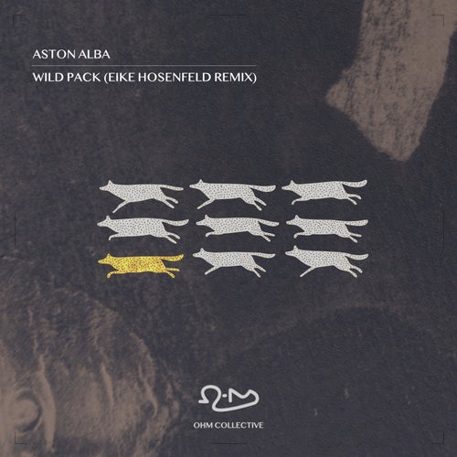 Wild Pact (Eike Hosenfeld Remix)