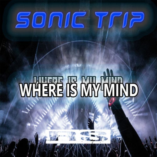 Where Is My Mind