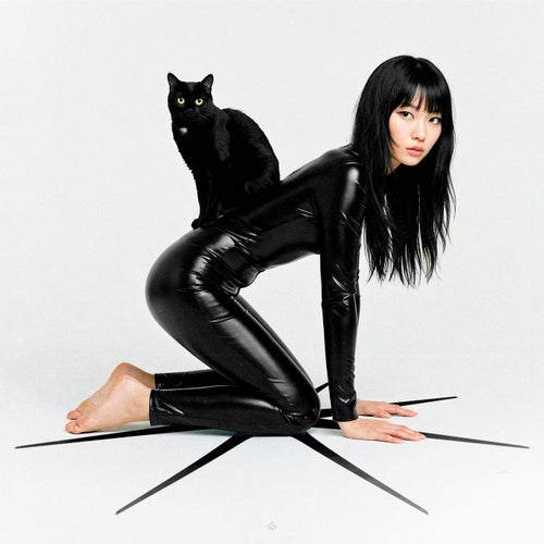 Los Gatos Favoritos de Tu Gata