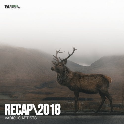 VA - DNBB RECAP - 2018 (BEST TRICKS) (LP) 2018
