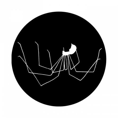 Pholcus Records
