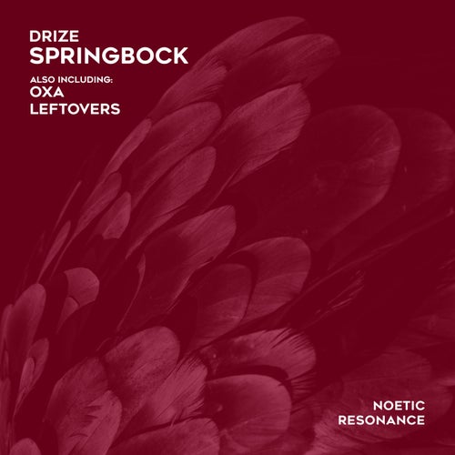 Springbock