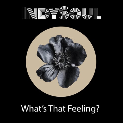 What’s That Feeling?