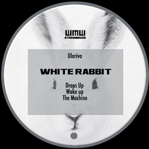 White Rabbit