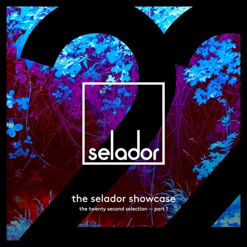 Selador Showcase 22, Pt. 1 [Selador] FLAC - Selador (Deep House,Melodic House & Techno,Progressive House) Album Cover
