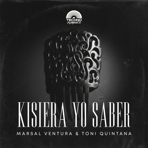 Kisiera Yo Saber (Extended Mix)