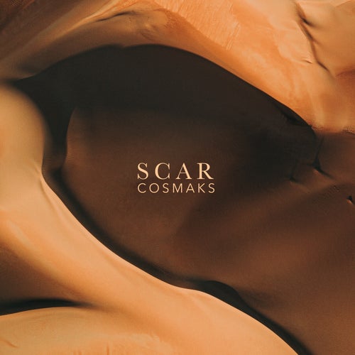 Cover art for Scar