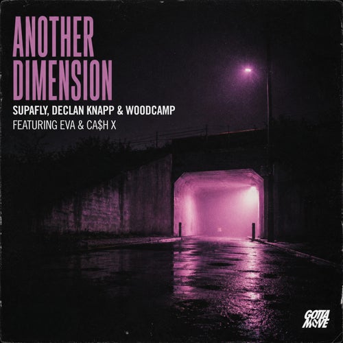 Another Dimension