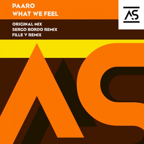 Paaro - What We Feel (Original Mix).mp3