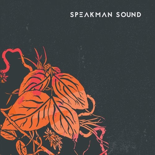 Cover art for Warm