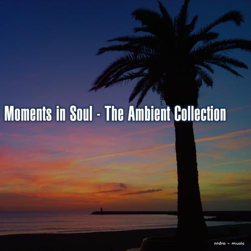 Moments In Soul -the Ambient Collection