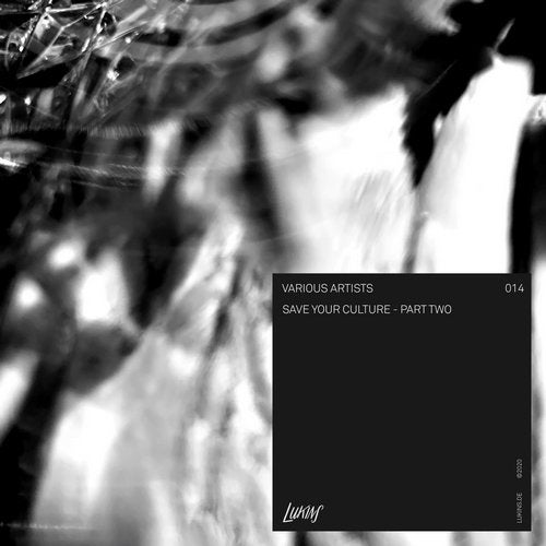 Cover art for Save Your Culture - Part Two