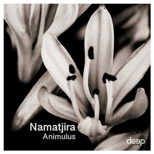 Cover art for Animulus