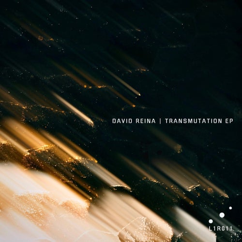 Cover art for Transmutation