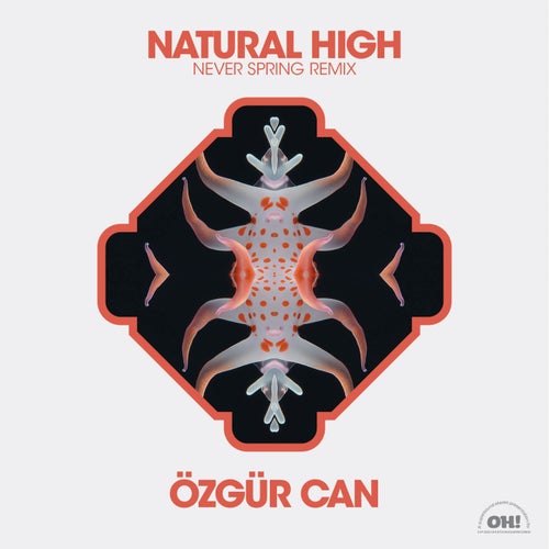 Ozgur Can — Natural High Never Spring Remix (2024)