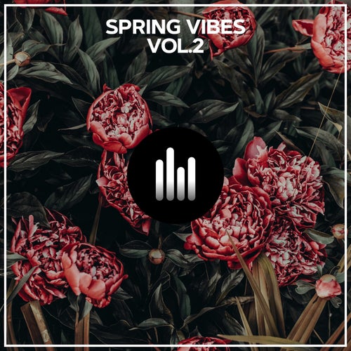 Spring Vibes, Vol. 2 (Mixed by Novi 4.0)