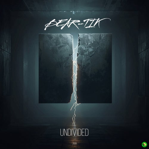 UNDIVIDED