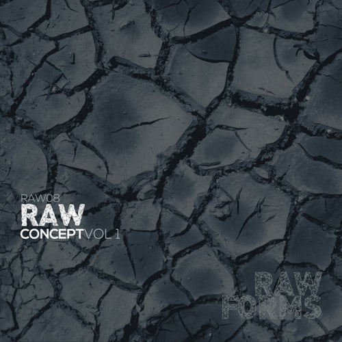 Raw Concept, Vol. 1