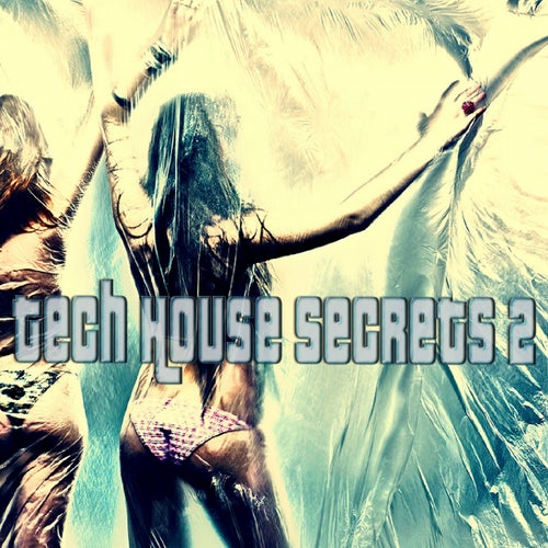 Tech House Secrets, Vol. 2 (Best Clubbing Tech House Tracks)