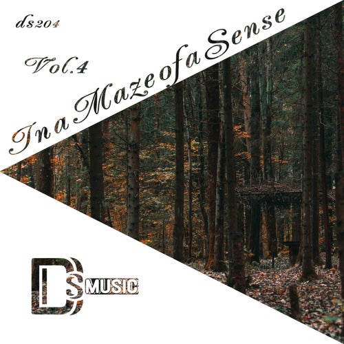 In a Maze of a Sense, Vol. 4