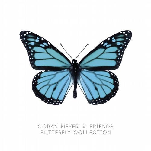 Butterfly Collection