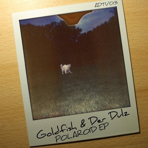 Cover art for Polaroid