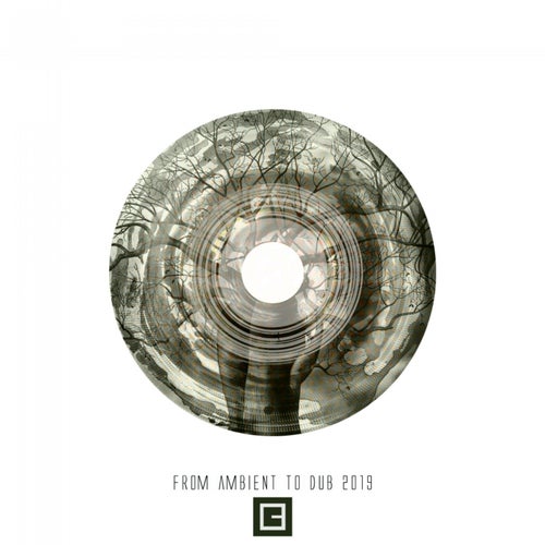 From Ambient to Dub 2019