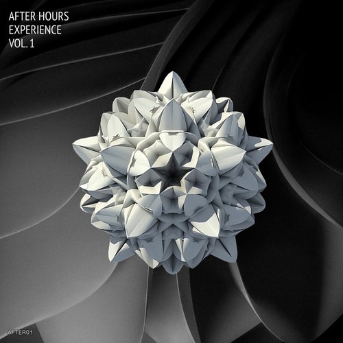 VA - After Hours Experience Vol 1 AFTERO1