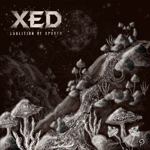 Xed — Coalition Of Spores (2026)