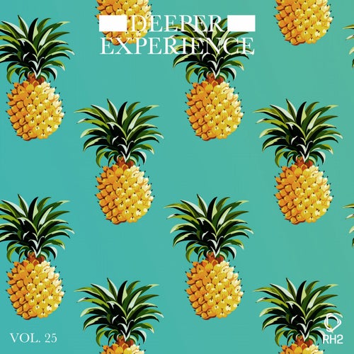 Deeper Experience Vol. 25