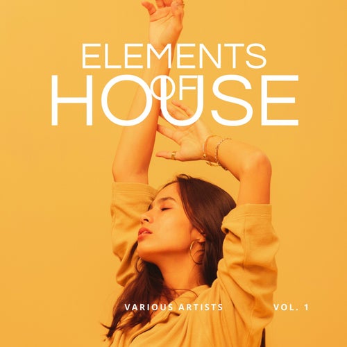 Cover art for Elements of House, Vol. 1