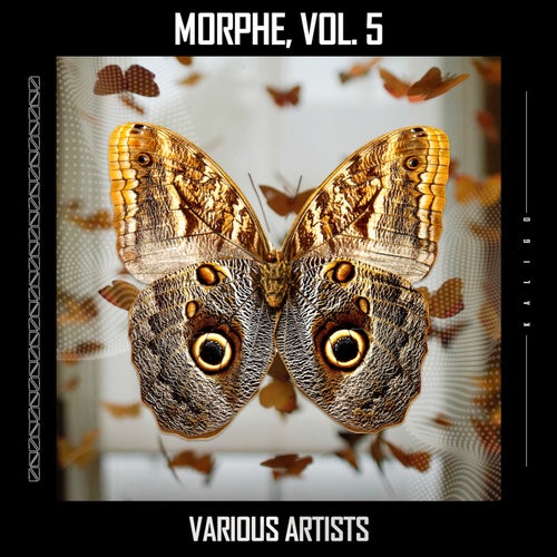 Cover art for Morphe, Vol. 5