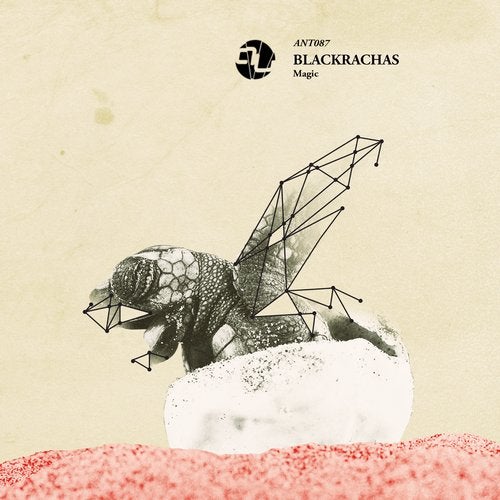 Cover art for Magic